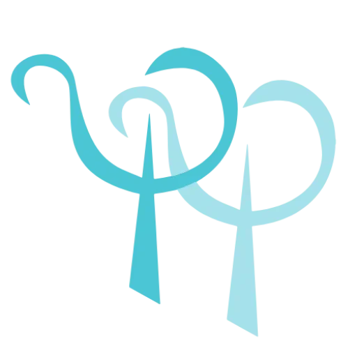 P.A Psicologas Favicon